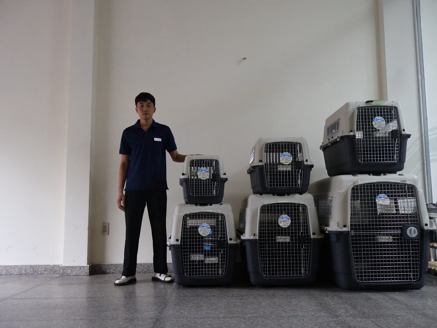 Daisy Pet Transport staff with IATA crates in all six sizes at the office